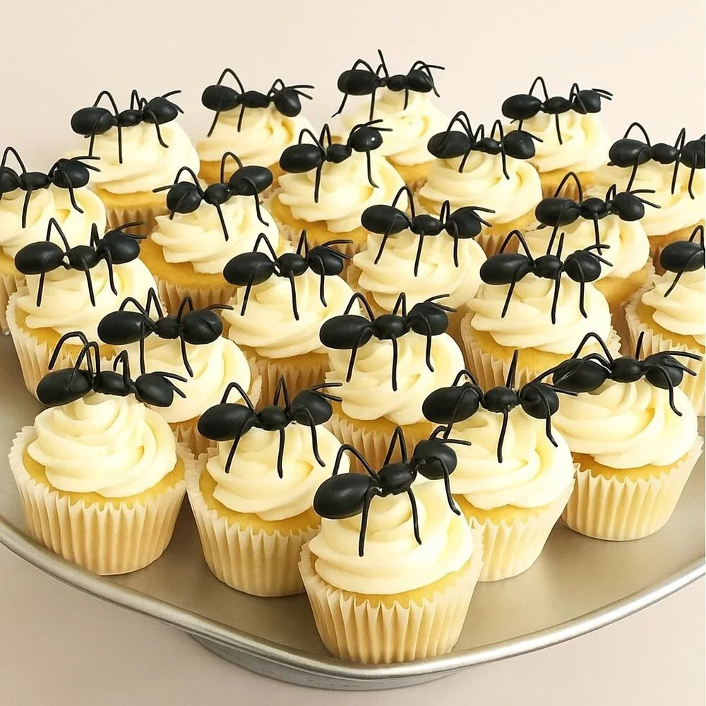 24 Ant Insects Cupcake Cake Toppers Picks New Party Supplies DIY Baking Decor Bl